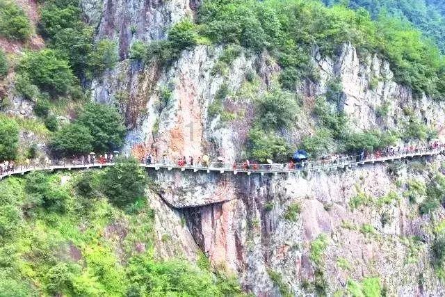 肝胆“小”问题,失眠“大”麻烦